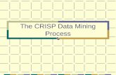 The CRISP Data Mining Process. August 28, 2004Data Mining2 The Data Mining Process Business understanding Data evaluation Data preparation Modeling Evaluation.