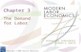 Copyright © 2009 Pearson Education, Inc. Chapter 3 The Demand for Labor.