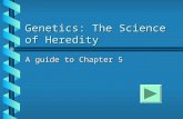 Genetics: The Science of Heredity A guide to Chapter 5.