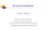 Protein Database David Shiuan Department of Life Science Institute of Biotechnology Interdisciplinary Program of Bioinformatics National Dong Hwa University.