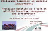 Utilizing Genomics in genetic improvement Molecular genetics as a tool in wildlife breeding, management and conservation (An African Buffalo case study)