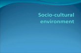 Business in socio-cultural setting Business CultureSociety.