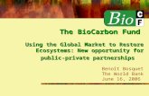 The BioCarbon Fund Using the Global Market to Restore Ecosystems: New opportunity for public-private partnerships The BioCarbon Fund Using the Global Market.