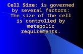 Cell Size: is governed by several factors: The size of the cell is controlled by metabolic requirements.