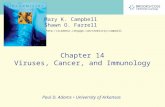 Chapter 14 Viruses, Cancer, and Immunology Mary K. Campbell Shawn O. Farrell  Paul D. Adams University of.