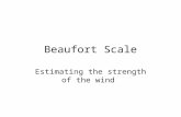 Beaufort Scale Estimating the strength of the wind.