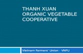 THANH XUAN ORGANIC VEGETABLE COOPERATIVE Vietnam Farmers’ Union - VNFU.