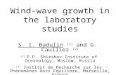 Wind-wave growth in the laboratory studies S. I. Badulin (1) and G. Caulliez (2) (1) P.P. Shirshov Institute of Oceanology, Moscow, Russia (2) Institut.