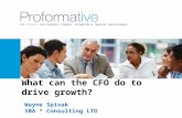 THE RESOURCE FOR CORPORATE FINANCE, ACCOUNTING & TREASURY PROFESSIONALS Wayne Spivak SBA * Consulting LTD What can the CFO do to drive growth?