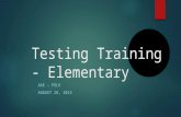 Testing Training - Elementary AAE – POLK AUGUST 28, 2015.
