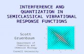 INTERFERENCE AND QUANTIZATION IN SEMICLASSICAL VIBRATIONAL RESPONSE FUNCTIONS Scott Gruenbaum Department of Chemistry and Chemical Biology Cornell University.