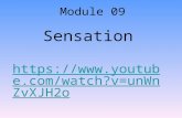 Sensation https://www.youtube.com/ watch?v=unWnZvXJH2o https://www.youtube.com/ watch?v=unWnZvXJH2o Module 09.
