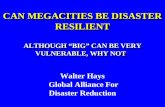 CAN MEGACITIES BE DISASTER RESILIENT ALTHOUGH “BIG” CAN BE VERY VULNERABLE, WHY NOT CAN MEGACITIES BE DISASTER RESILIENT ALTHOUGH “BIG” CAN BE VERY VULNERABLE,