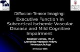 Diffusion-Tensor Imaging: Executive Function in Subcortical Ischemic Vascular Disease and Mild Cognitive Impairment Stephen Correia, Ph.D. Dementia Research.