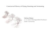 Adrian Bejan J. A. Jones Distinguished Professor Duke University Constructal Theory of Flying, Running and Swimming.