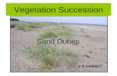 Vegetation Succession Sand Dunes V A VANNET. Plant Succession Evolution of plant communities From pioneer species to climax vegetation Related to change.