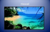 Hawaii. The location of Hawaii Multicultural society.