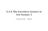 3.4.6 The Excretory System in the Human 1 Follow-Me – iQuiz.