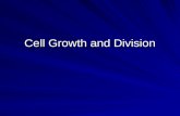 Cell Growth and Division. Cell division is needed for… 1. Growth – most organisms grow by producing more cells 2. Cell Replacement 3. Reproduction (asexual)