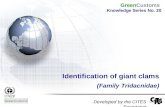 Identification of giant clams (Family Tridacnidae) Developed by the CITES Secretariat GreenCustoms Knowledge Series No. 20.