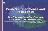 From Sound to Sense and back again: The integration of lexical and speech processes From Sound to Sense and back again: The integration of lexical and.