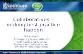 NZGG – Self-harm and Suicide Prevention Collaborative Collaboratives – making best practice happen Silke Kuehl Emergency Nurse Advisor Self-harm and Suicide.