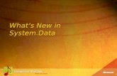 What’s New in System.Data. Agenda The Common Programming Model The Schema Discovery API Enhancements to the DataSet class SQL Server-specific enhancements.
