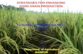 1 1 STRATEGIES FOR ENHANCING FOOD GRAIN PRODUCTION Formulation of Krishi Karman Award 2012-13 Department of Agriculture MANIPUR.