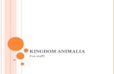 KINGDOM ANIMALIA Fun stuff!!. ANIMALIA : 9 MAIN PHYLA 1. Porifera 2. Cnidaria 3. Platyhelminths 4. Nematoda 5. Annelida 6. Mollusca 7. Arthropoda 8. Echinodermata.