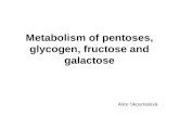 Metabolism of pentoses, glycogen, fructose and galactose Alice Skoumalová.