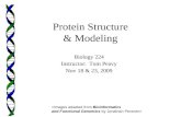 Protein Structure & Modeling Biology 224 Instructor: Tom Peavy Nov 18 & 23, 2009