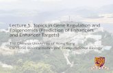 Lecture 5. Topics in Gene Regulation and Epigenomics (Prediction of Enhancers and Enhancer Targets) The Chinese University of Hong Kong CSCI5050 Bioinformatics.