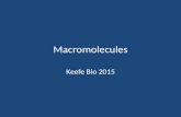 Macromolecules Keefe Bio 2015. Biochemistry The study of all chemical processes that occur in living things.