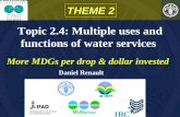 Topic 2.4: Multiple uses and functions of water services THEME 2 More MDGs per drop & dollar invested Daniel Renault.