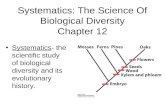 Systematics: The Science Of Biological Diversity Chapter 12 Systematics- the scientific study of biological diversity and its evolutionary history.