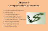 Chapter 5 Compensation & Benefits Compensation Programs Developing a Compensation Plan Establishing Pay Rates Employee Benefit Programs Voluntary Benefits.