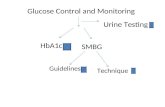 Glucose Control and Monitoring HbA1c SMBG Guidelines Technique Urine Testing.