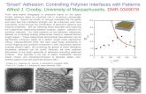 “Smart” Adhesion: Controlling Polymer Interfaces with Patterns Alfred J. Crosby, University of Massachusetts, DMR-0349078 From nano-imprint lithography.