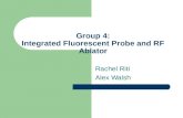 Group 4: Integrated Fluorescent Probe and RF Ablator Rachel Riti Alex Walsh.