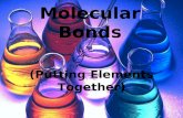 Molecular Bonds (Putting Elements Together). Molar Mass Each atom has an atomic mass Molar mass is the atomic mass of all the atoms in the molecule summed.