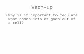 Warm-up Why is it important to regulate what comes into or goes out of a cell?