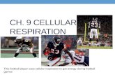 CH. 9 CELLULAR RESPIRATION This football player uses cellular respiration to get energy during football games.