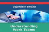Understanding Work Teams Organization Behavior. Presented to : Sir Ahmed Tisman Presented by: Muhammad Aatif Aneeq.