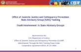 11 Office of Juvenile Justice and Delinquency Prevention State Advisory Group (SAG) Training Youth Involvement in State Advisory Groups Sponsored by the.
