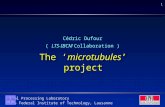 1 Signal Processing Laboratory Swiss Federal Institute of Technology, Lausanne Cédric Dufour ( LTS-IBCM Collaboration ) The ‘microtubules’ project.