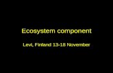 Ecosystem component Levi, Finland 13-18 November.