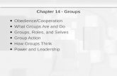 Chapter 14 - Groups Obedience/Cooperation What Groups Are and Do Groups, Roles, and Selves Group Action How Groups Think Power and Leadership.