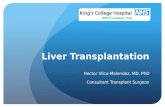 Liver Transplantation Hector Vilca-Melendez, MD, PhD Consultant Transplant Surgeon.
