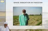 SPATE IRRIGATION IN PAKISTAN 1.3. History of spate irrigation in Pakistan Some bunds in Balochistan are more than 5000 years old The construction of spurs.