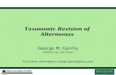 Taxonomic Revision of Altermonas George M. Garrity (Adapted by J Kennedy) For further information contact garrity@msu.edugarrity@msu.edu.